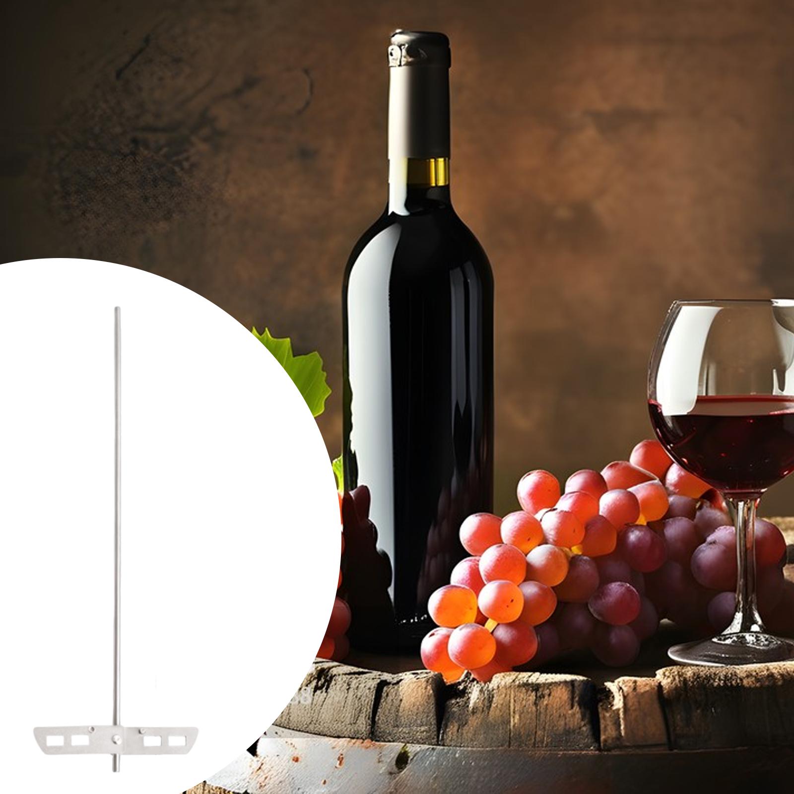 خلاط عالي الكفاءة لإزالة الغاز - مراجعة Wine Beer Mix وسعره